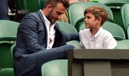 Beckham choáng khi con trai bỏ nghiệp bóng đá