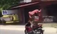 Truy tìm quái xế lái xe bằng chân phóng vun vút trên QL 5
