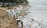 Bờ biển Cửa Đại bị sạt nặng