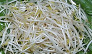 “Hiệp sĩ” giá đậu
