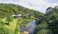 Ngang nhiên xây resort không phép giữa vườn quốc gia