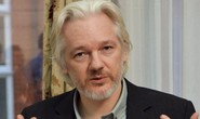 Ông chủ Wikileaks định nộp mình cho cảnh sát