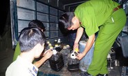 Gom 1.000 lít dầu, mỡ động vật đã sử dụng đem bán ở Hà Nội