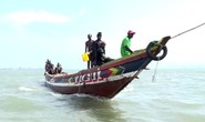 Tàu cá Trung Quốc hút cạn cá Guinea