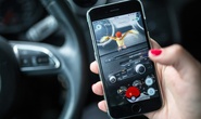 Săn Pokemon khi lái xe, tông chết người