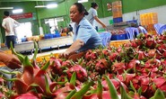 Tổ chức nước ngoài hỗ trợ Việt Nam xuất khẩu thanh long, chanh dây