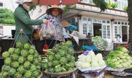 Hàng Trung Quốc lại nhái nông sản Đà Lạt