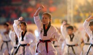 Trào lưu võ nhạc taekwondo Việt