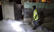 Cúm hoành hành ở Nga, Zika tiếp tục đà lây