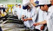 Mỗi năm Việt Nam nhập 5.000 tấn cá ngừ đại dương