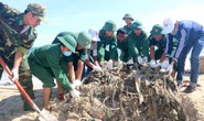 Ra quân Ngày chủ nhật xanh, làm sạch biển