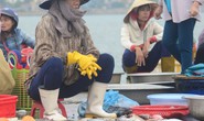 Vụ cá chết bất thường ở Bắc Trung Bộ: Nghiêm cấm bán cá chết