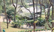 Xây resort ở Vườn Quốc gia Ba Vì: Nể nang nên để làm bừa