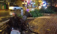 Bão số 3 chưa tới, cây đổ la liệt tại Hà Nội