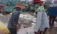 Những bóng hồng ở cảng cá Sa Kỳ