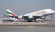 Khách Trung Quốc đi lậu vé máy bay đến Dubai... làm ăn xin