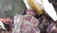 1,6 tấn nội tạng giấu trên xe khách biển số Lào