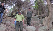 Hạt phó hạt kiểm lâm làm ngơ vụ phá rừng Sơn Trà