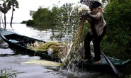 Đẹp nao lòng mùa nước nổi