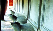 Nhân tài và dân chủ