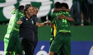 Bóng đá Brazil đoàn kết sau thảm họa máy bay Chapecoense