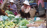 Campuchia lo nông sản nhiễm hóa chất độc hại
