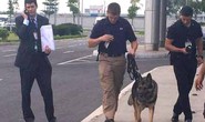 Chó nghiệp vụ theo bảo vệ Tổng thống Obama mang hàm Đại úy