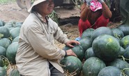 5 kg dưa hấu = 1 ly trà đá