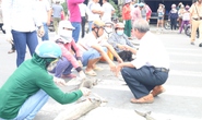Vũng Tàu: Người dân mang cá chết ra chặn Quốc lộ 51