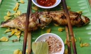 Mai tôi lại về