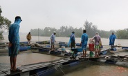 Vụ khốn đốn vì xả lũ: Do dân chủ quan?