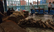 Phát hiện 1 tấn ngà voi bên trong khối gỗ