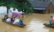 Phát ngán với cụm từ “đúng quy trình”