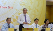 Đã xác định được nguyên nhân cá chết hàng loạt