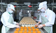 Đa dạng chủng loại bánh trung thu
