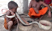 Trẻ em Ấn Độ học thôi miên rắn từ khi lên hai