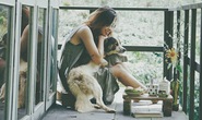 Khu nghỉ hoang sơ giữa rừng không mất tiền ở Đà Lạt