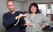 Cho rắn độc cắn 160 lần để tìm thuốc giải