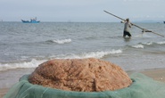 Hàng chục tấn ruốc dạt vào bờ biển Quảng Bình