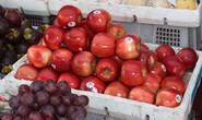 Thu giữ gần 1 tấn trái cây Trung Quốc và nửa tấn nội tạng bẩn