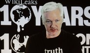 Không muốn đụng bầu cử Mỹ, Ecuador cắt mạng ông chủ WikiLeaks