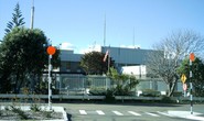 Nhà ngoại giao Mỹ bị trục xuất bí ẩn  khỏi New Zealand