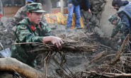 Trung Quốc: Động đất, 31 người thương vong