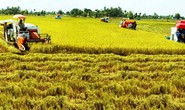 Đề xuất các giải pháp tích tụ ruộng đất