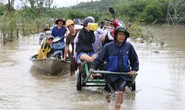 Người dân Quảng Nam dùng xe bò chở xe máy vượt lũ