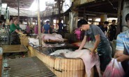 Lo vỡ trận giết mổ công nghiệp