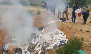 Đà Nẵng tiêu hủy hơn 35.000 bao thuốc lá lậu