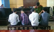 Dùng xe tải trộm trâu bò liên tỉnh