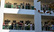 Hai người nhảy lầu tự tử tại Bệnh viện Quảng Ngãi
