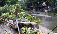 Bão số 2 vào đất liền: Cây đổ, mất điện, nhà tốc mái